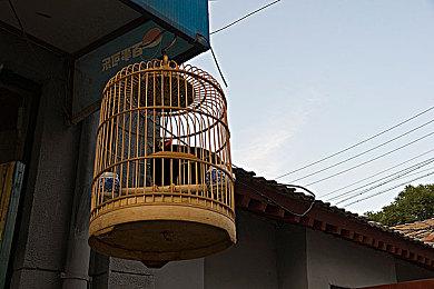 《丽露娅与夏夏的纯白谎言》Steam页面上线 支持简体中文